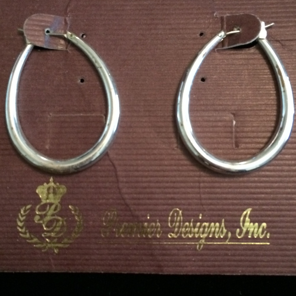 Companions Earrings